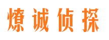 房县市调查公司